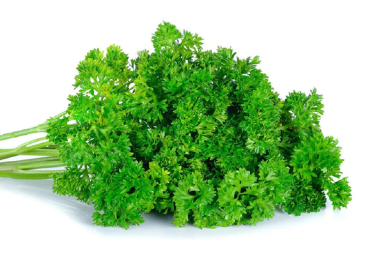 Parsley Moss Curled Non Gmo Heirloom Garden Herb Seeds Sow No Gmo® Usa
