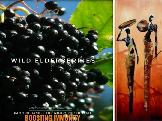 Elderberry Sun-Dried | Country Origin. East Euro