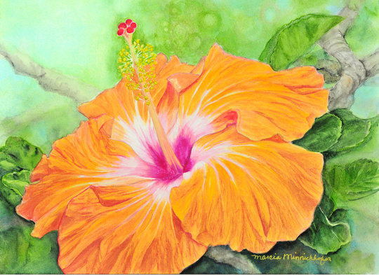 Hibiscus Painting 12x16 Art Print