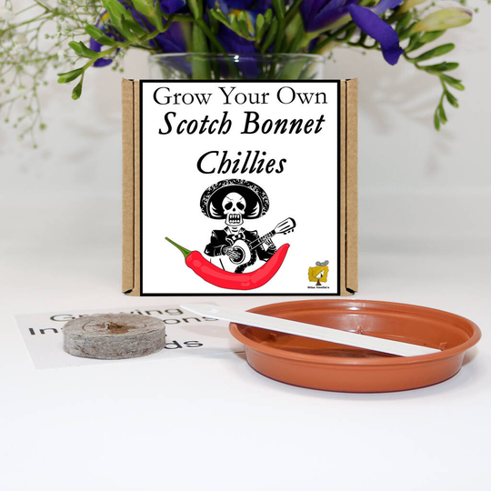 Grow Your Own Scotch Bonnet Chilli Plant Gift Set