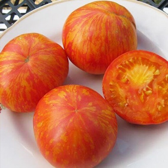 Tomato Seeds Zebra Orange