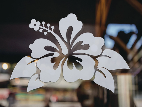 Hibiscus Flower Frosted Film, Set Of 3 Glass Safety Decal, Visibility Sticker, Sliding Door & Window Hazard Wall Art Sticker