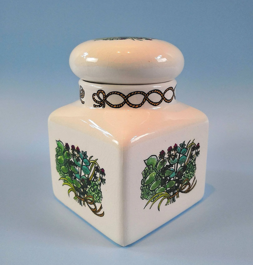 Vintage Taunton Vale Kitchen Cannister