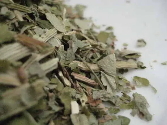 Angelica Leaf Tea | Cut & Dried - Archangelica 100 Grams