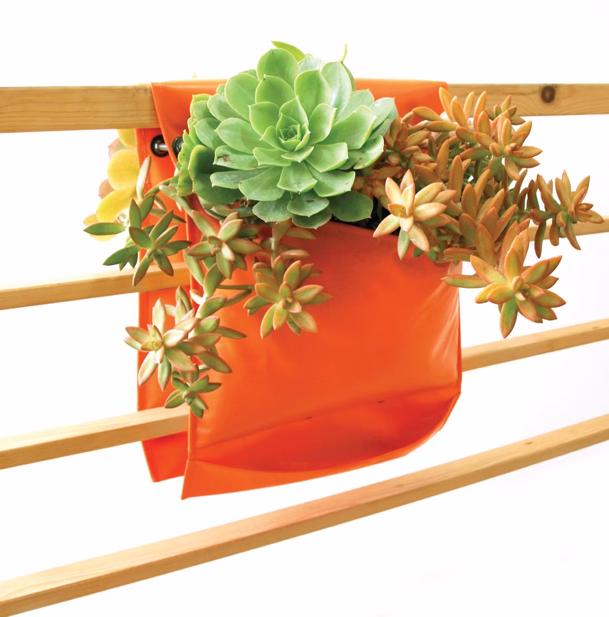 Vertical Garden Saddle Pocket Planter - Invivo For Balcony Diy Hanging Living Wall Space Saving Modular Gift Plant Lovers