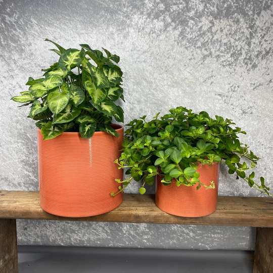 Ribbed Papaya Cylindrical Ceramic Planter/House Plant Pot Various Sizes