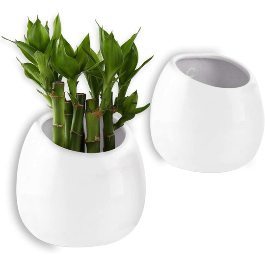 Einemgeld - Wall Mounted Plant Pot White 10CM Ceramic Set of 2, Wall Decor Decoration for Living Room Home Garden Evening Party Christmas and Ideal