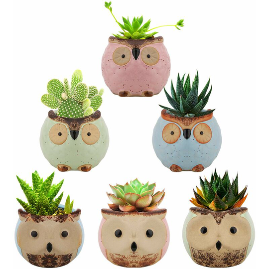 Echoo - Succulent Plant Flower Pots, [6 Pieces] 2.8 Inch Mini Owl Flower Pot, Ceramic Bonsai, Cactus Potted Plant Gift for Home Office Table Window