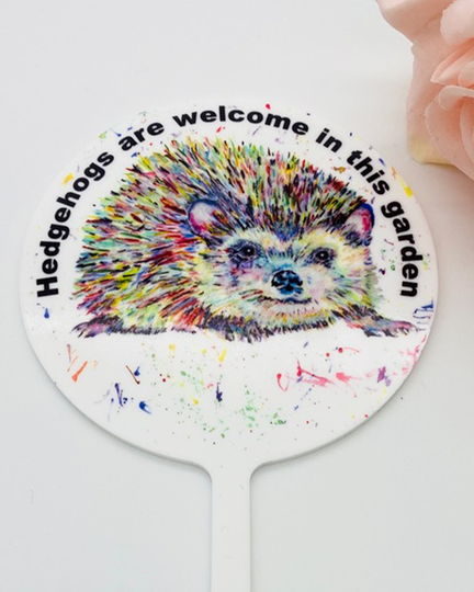 A Beautiful Acrylic Hedgehog Sign For Your Garden Plant Pot Rainbow Gift All Love Hedgehogs Printed Design Outdoors