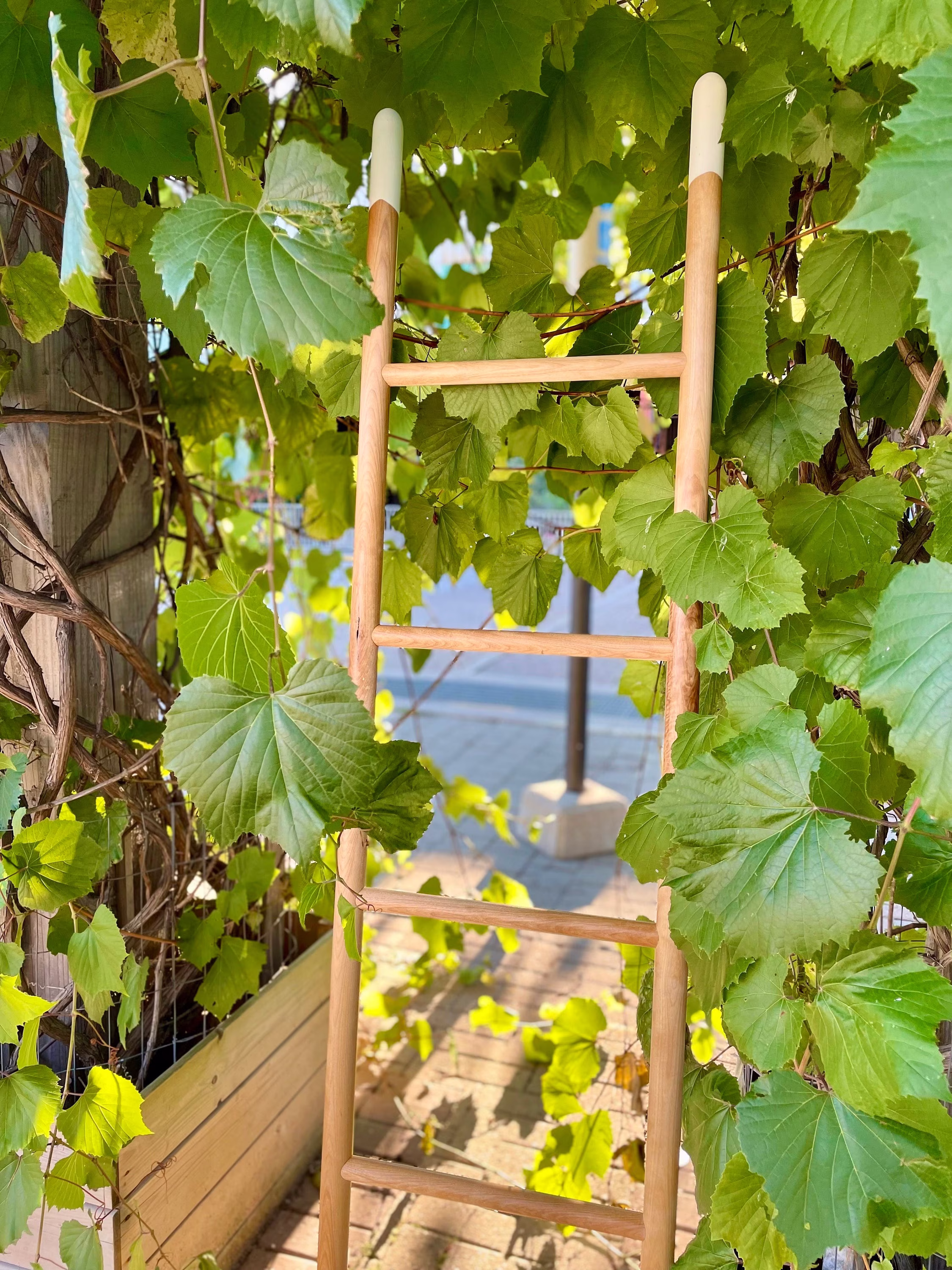 Dowel Ladder
