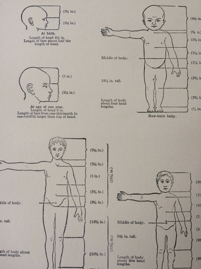 1925 Original Antique Matted Anatomical Print - Proportions Of A Healthy Child's Body Medical Decor Medicine Paediatrician