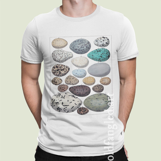 Nest Eggs | 1843 - Unisex Organic T-Shirt, Vintage Style Toadstool T-Shirt