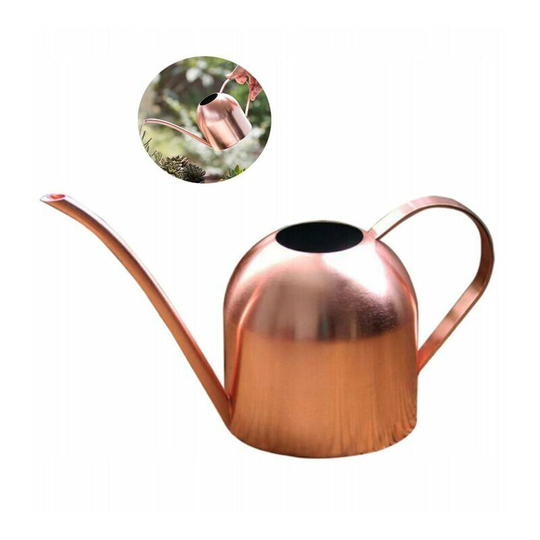 Stainless steel watering can water garden watering flower can watering plant garden plant water bottle household 500ml(A)