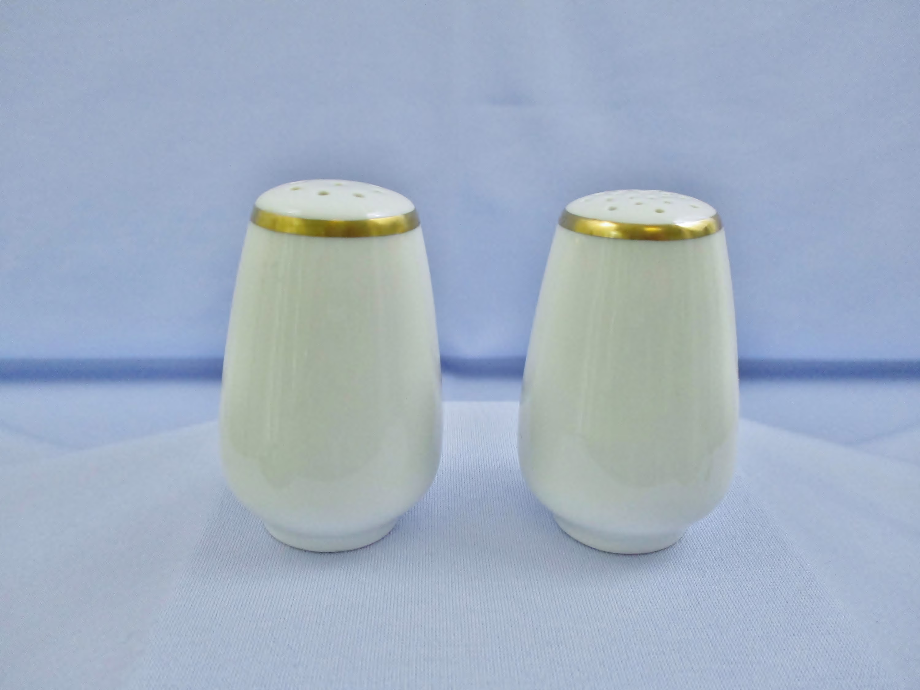 Vintage Bing & Grondahl White Porcelain Salt Pepper Shakers