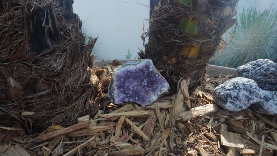 Amethyst Geode #425 | Crystals Deep Purple Gemstone Chakra Stones Wicca Witchcraft Collectable Metaphysical