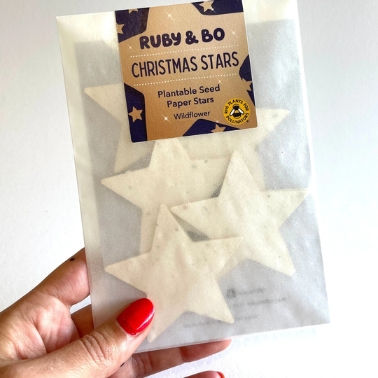 Christmas Star/Plantable Seed Paper Stars Stocking Filler Eco Friendly Gift Party Bag