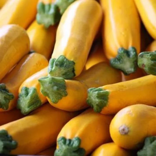 Zucchini Seeds Orange