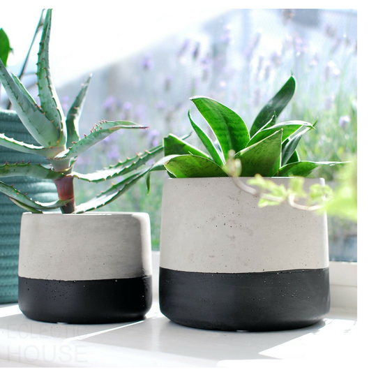 Luxury Black Dip Cement Planter