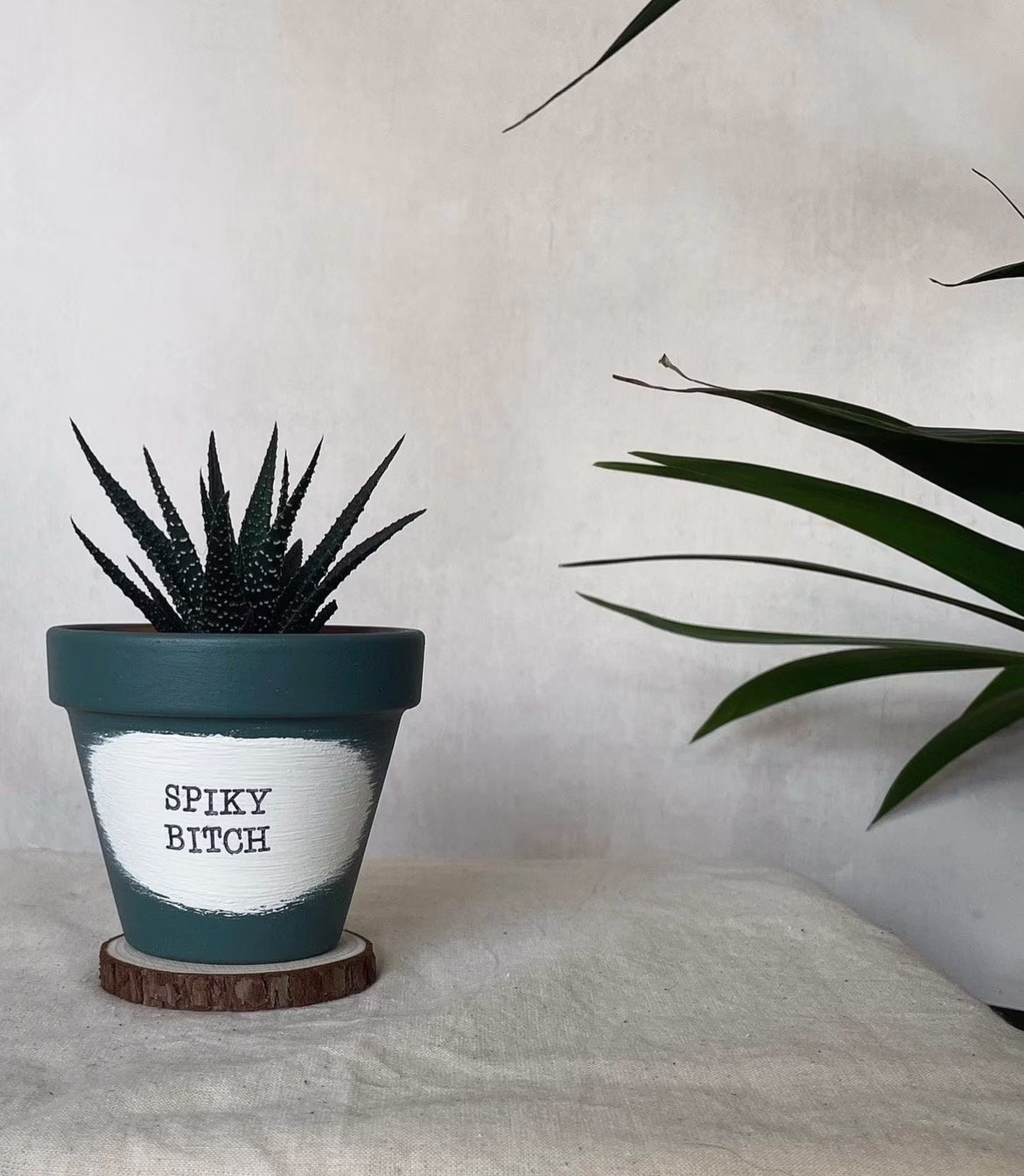 Personalised Plant Pot, Plant Puns, Hand Painted Terracotta Fun Quirky Planters, Lover Christmas Gifts, Houseplants