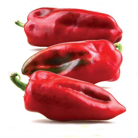 Sweet Pepper Palanacko Cudo Seeds Heirloom Non Gmo For Planting | 204623