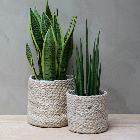 Natural Jute Planters