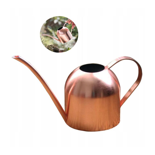 Betterlifegb - Watering stainless steel can water garden watering flower can water plant garden Plant water bottle household 500 ml (a)