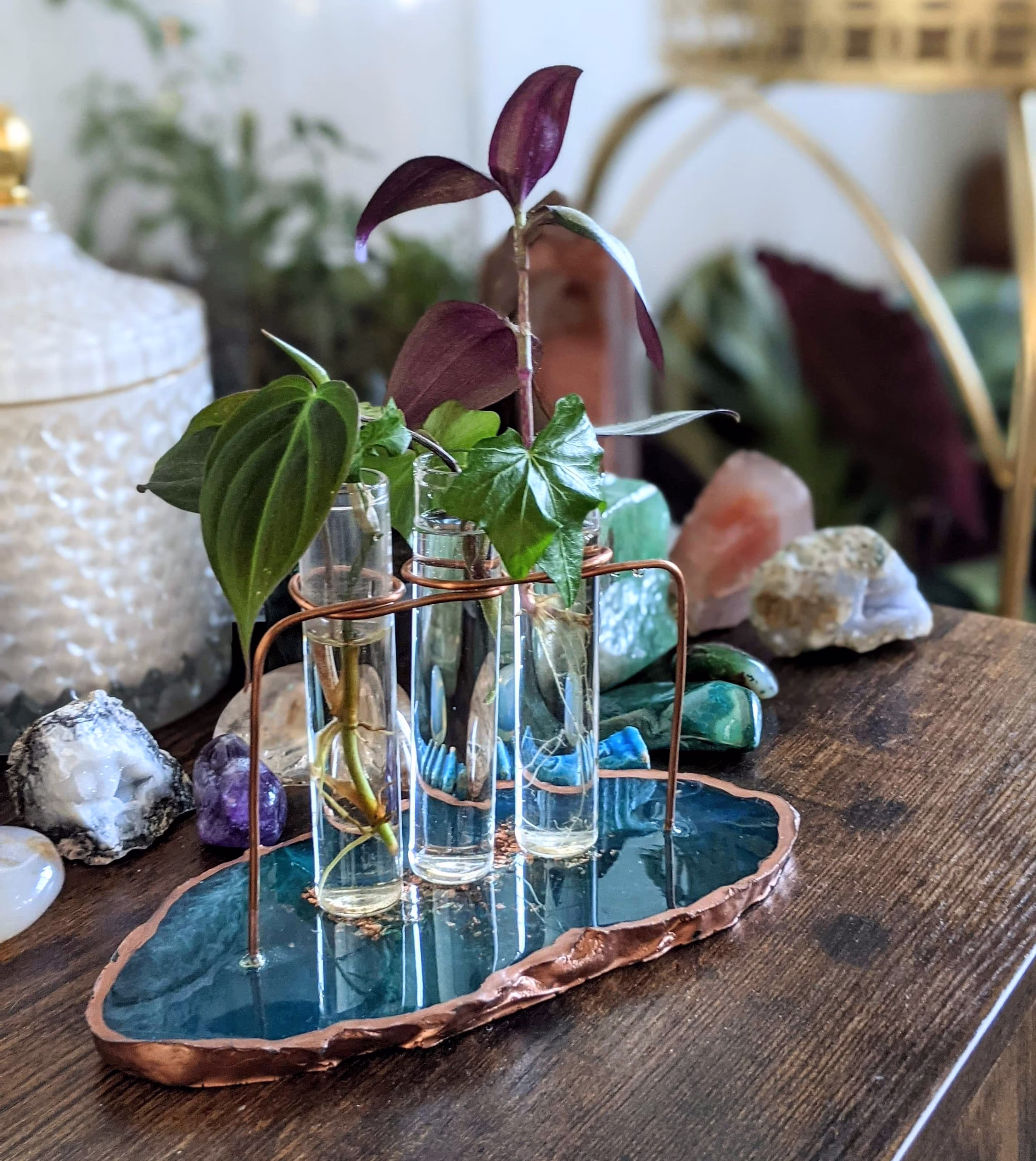 Propagation Station
