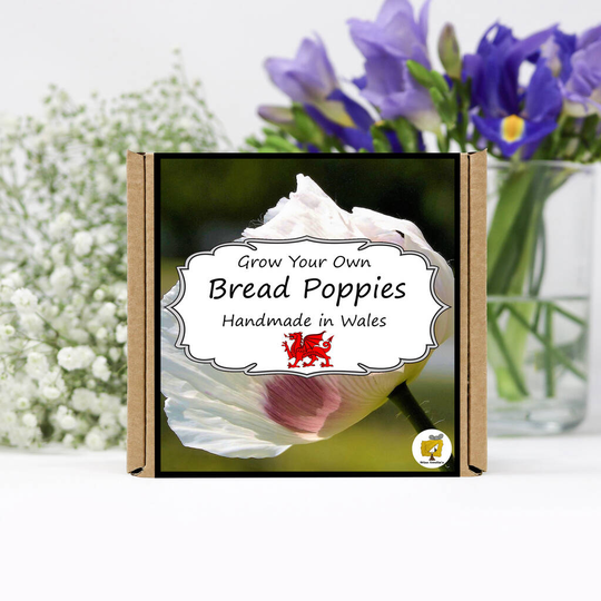 Grow Your Own Bread Poppy Flowers Kit