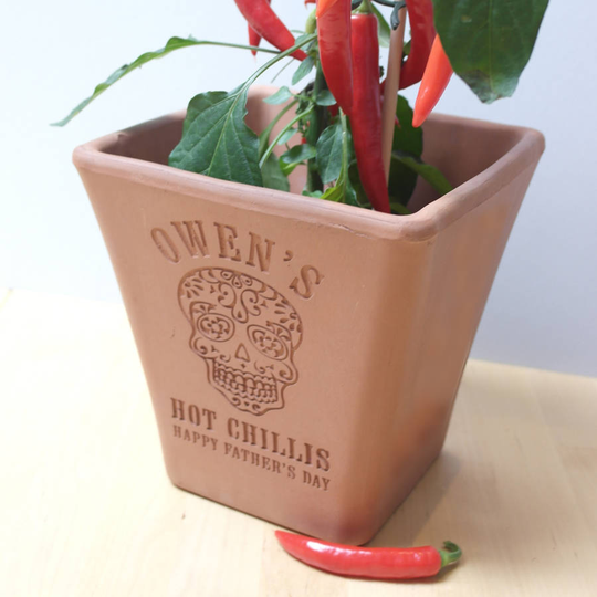 Engraved Mexican Skull Chilli Pot And Seeds