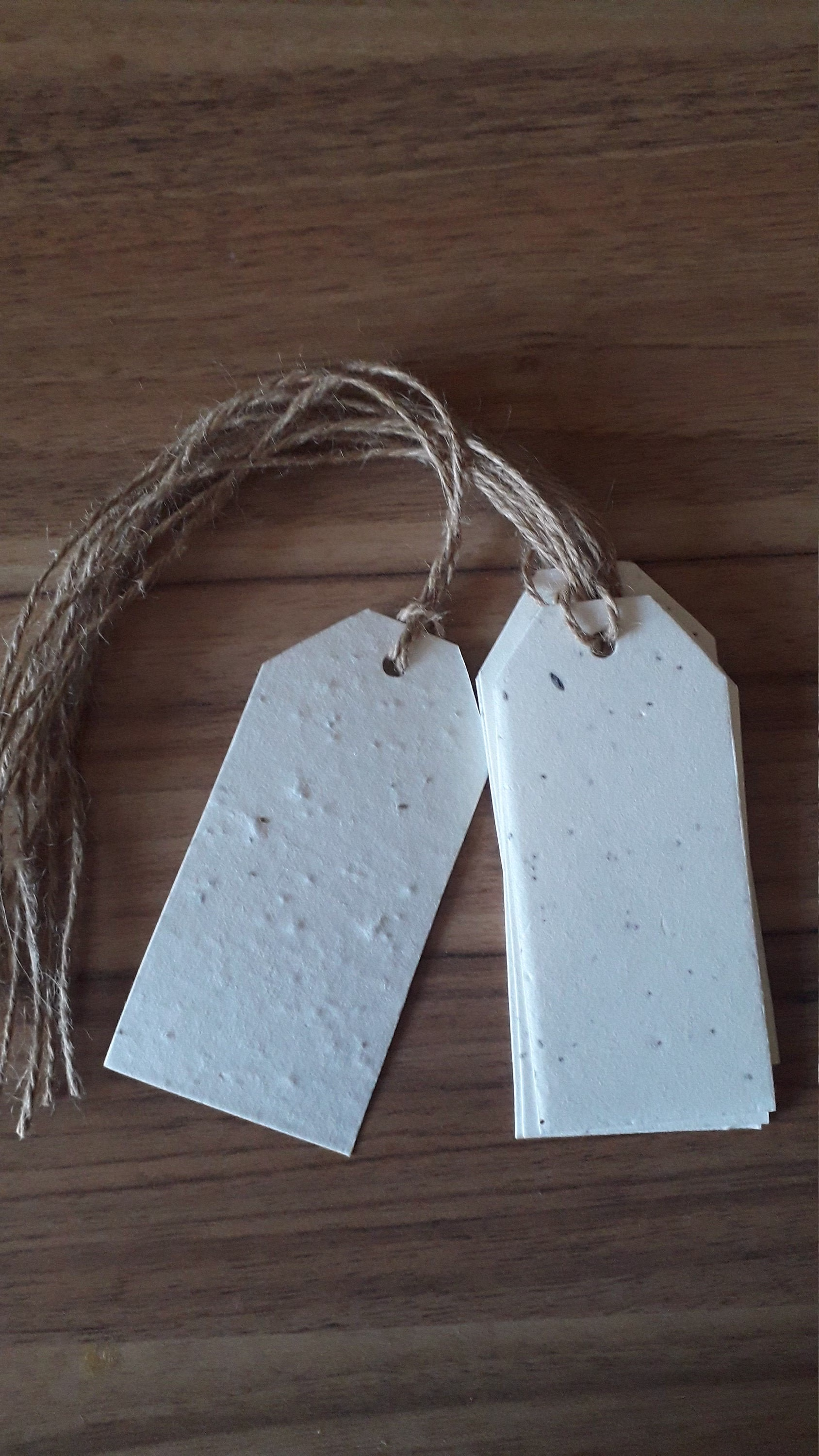 Wildflower Seed Paper Gift Tags Plain - Sustainable & Biodegradable X6 Or X12