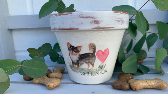 Personalised Chihuahua Dog Plant Pot Gift. Dog Memorial Keepsake Flower Planter. Lovers Birthday Terracotta Pot