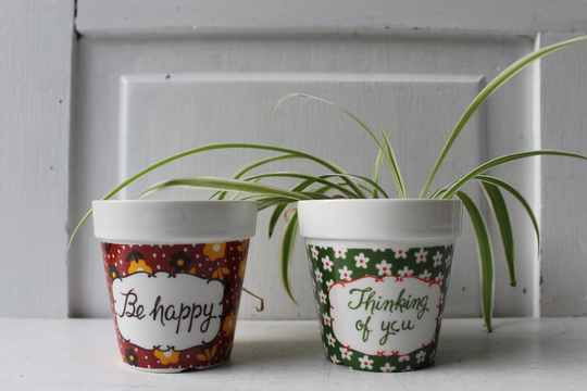 Pair 3" Message Pots - Indoor Planter Floral "Be Happy" & "Thinking Of You
