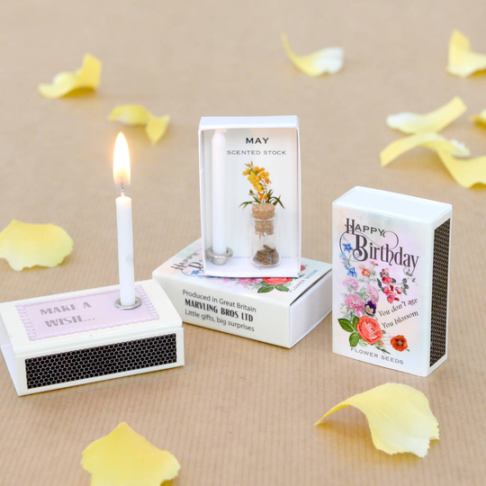 May Birth Flower Stock Seeds And Birthday Candle Gift
