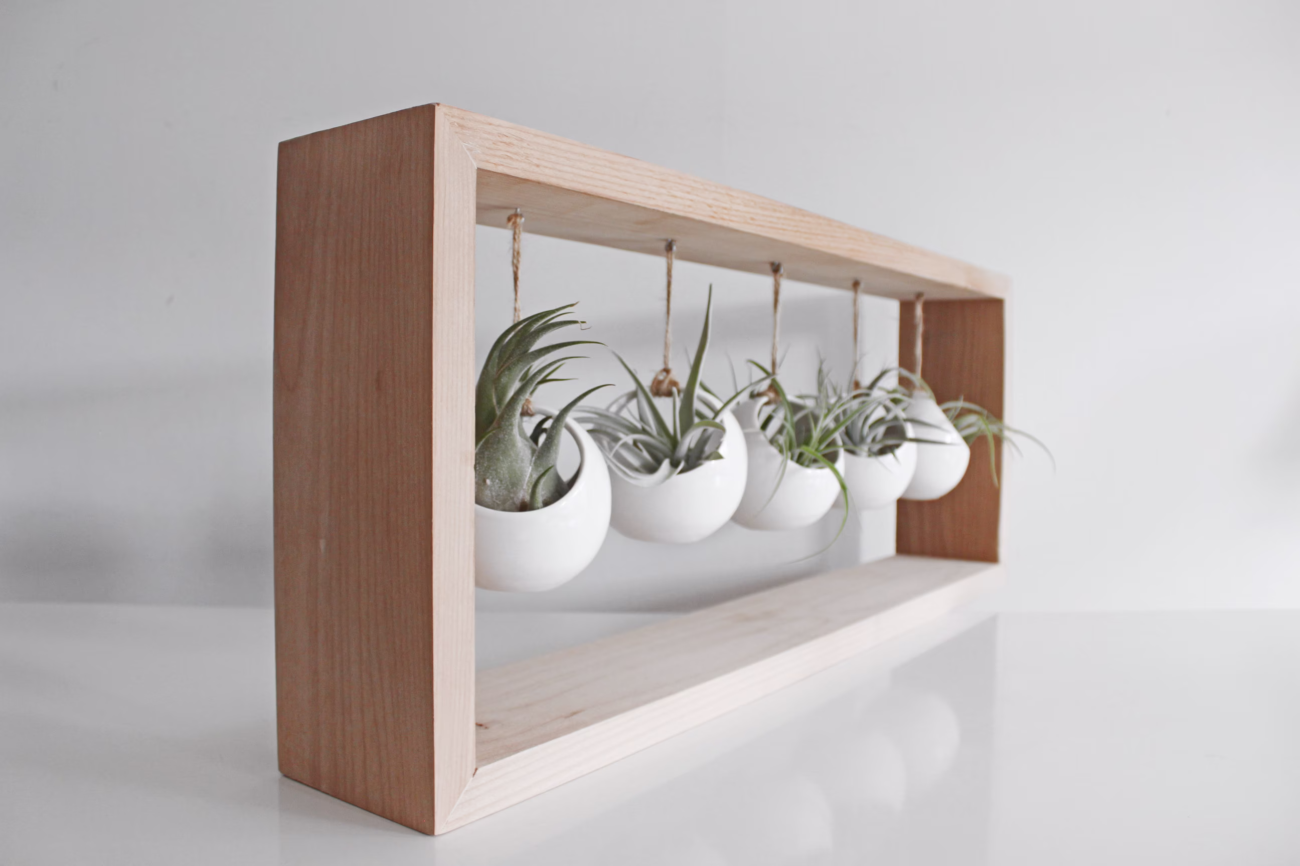 Succulent Wall Planter | Hanging Air Plant Display Gift