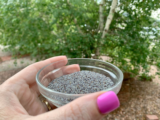 Poppy Seeds | Dreams & Sleep
