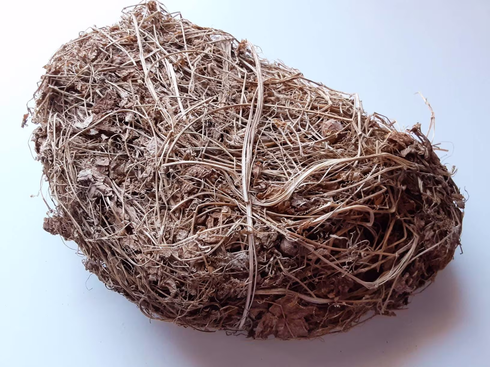 Dried Nyanyra From West Africa.nyannya, Nyina, Nyinya; Kakle; Nyanyla, Nyanyra; Nyanya