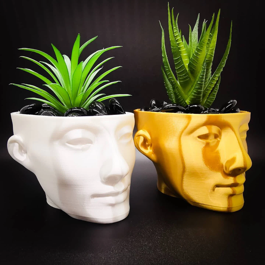 Nefertiti Vase, Planter Pot, Egyptian Decor, 3D Printed Planter, Modern Air Plant Display, Metallic Head Pots, Funky Home Decor Gift