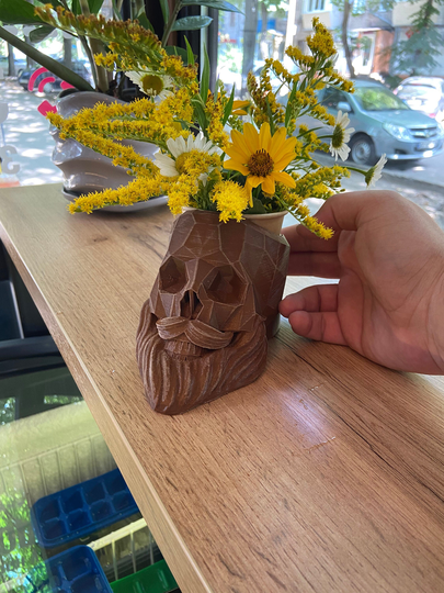 Indoor Flower Pot, Stylish Barber's Skull, Planter Plant Decor, Thing For Your Home & Office