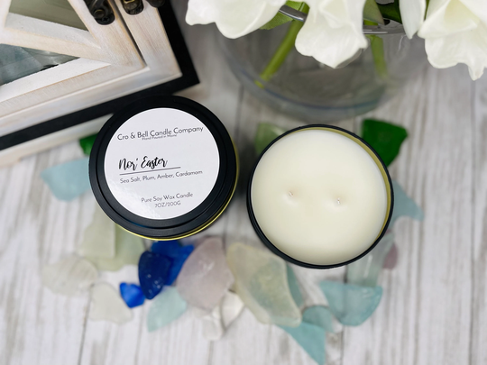 Soy Wax Candle - Nor' Easter Sea Salt, Plum, Amber | Scented Candles Vegan Home Decor Safe