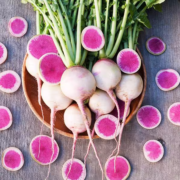 Watermelon Radish Seeds | Non - Gmo