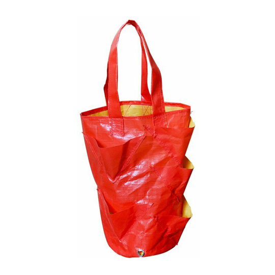 Strawberry Planting Bag Aromatic Plants,Plant Grow Bag pe Pocket Planting Side Vegetable Bags for Strawberries Herbs Tomato Apple Blossom,Orange, 1