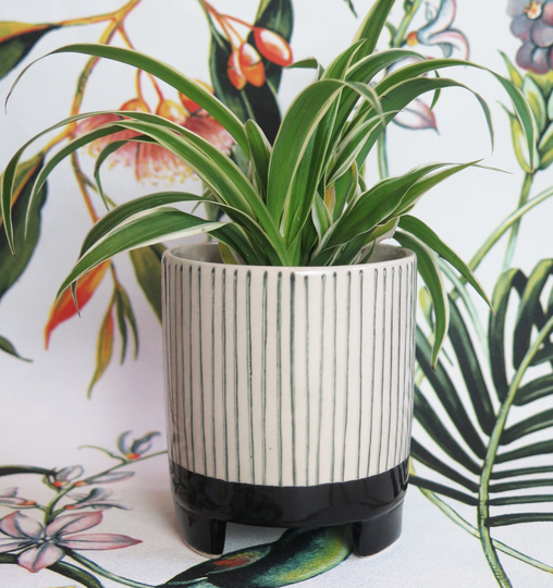 Small Black & Beige Geometric Striped Indoor Or Outdoor Exotic Planter Flower Pot - Home Decor Boho Chic Plant