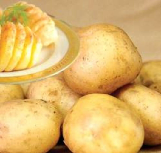 Potato Revenge Seeds