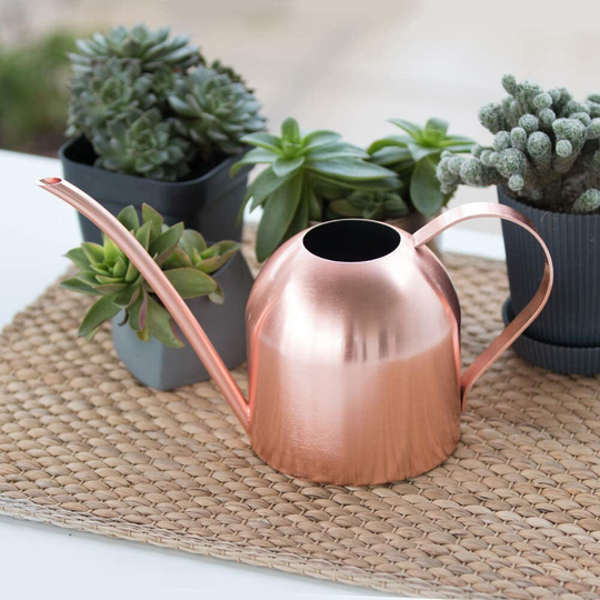 Bronze Watering Can Perfect Indoor Plants - Rose Gold Brass