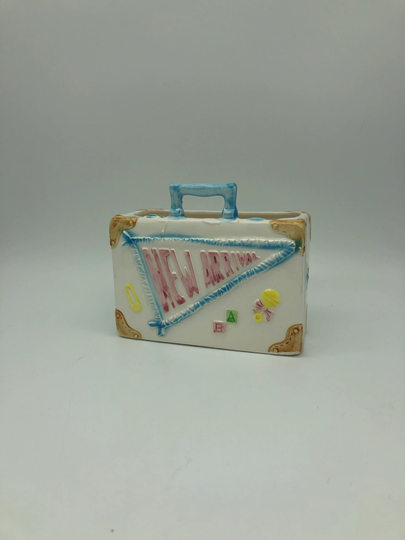 Relpo Baby Vase Planter Suitcase New Arrival