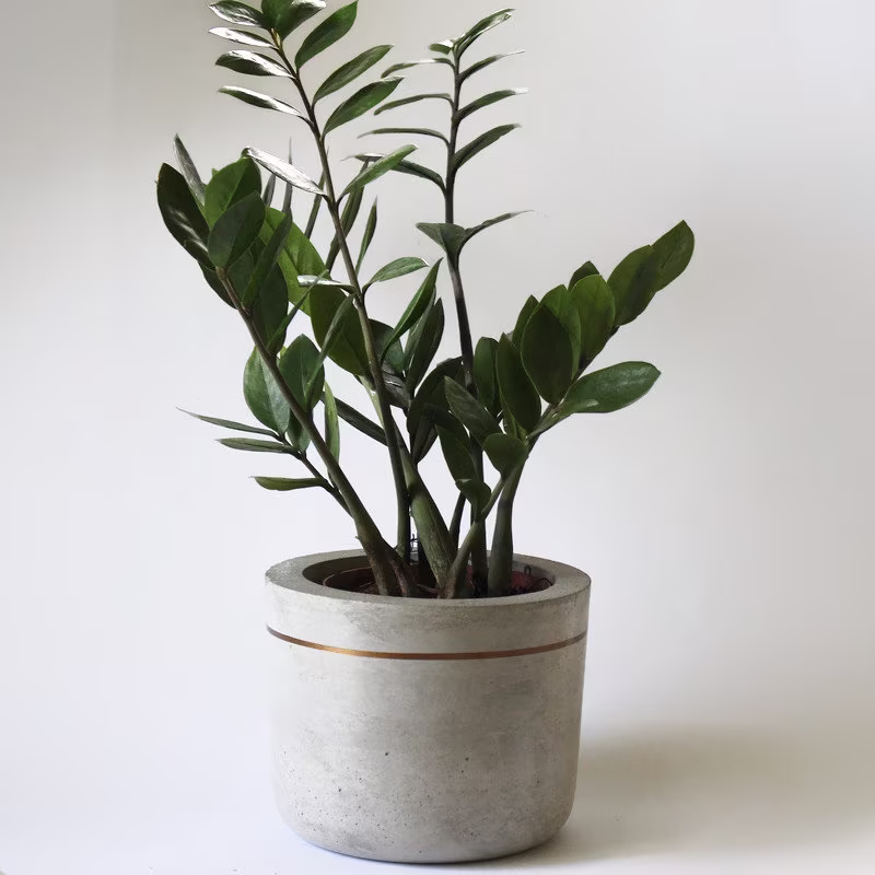 Large Concrete Plant Pot, Planter, Pot Holder, Beton Cement Pot, Herb Planter, Potteplante, Blumentopf, Gray