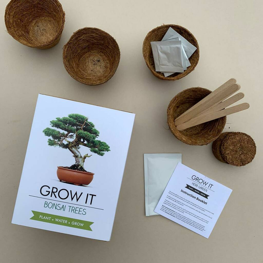 Grow It Bonsai Trees Gift Box