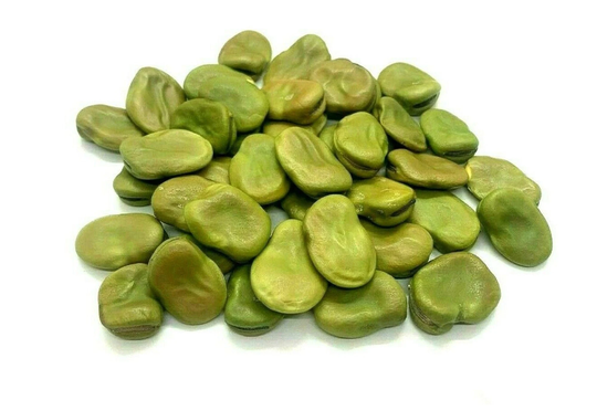 Green Fava Beans | Broad Bean Spring Planting Seeds Organic Whole Palestinian