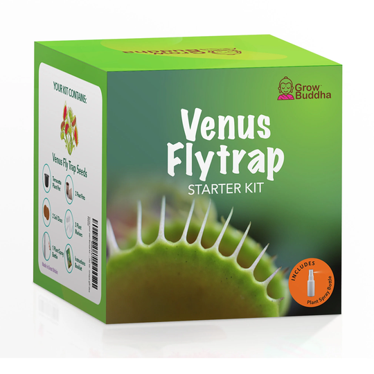 Plant Growing Kit, Gardening Kit, Venus Fly Trap Plant Seeds Grow Your Own Seed Starter Kit Nature Lover Gift Box