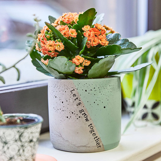 Let's Grow Together Planter
